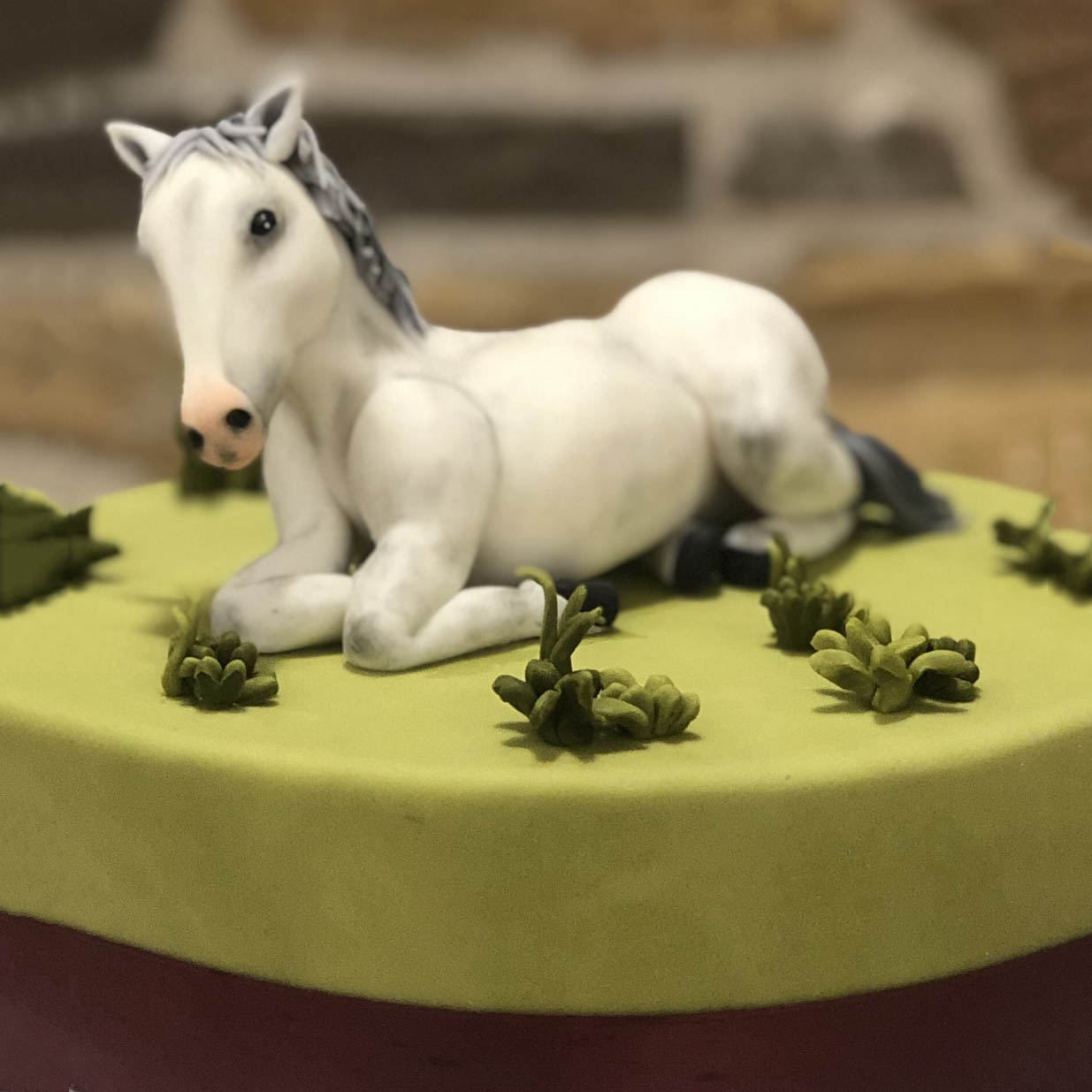 cake-design-torte-decorate